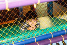 Ryan and Vivian May 2010